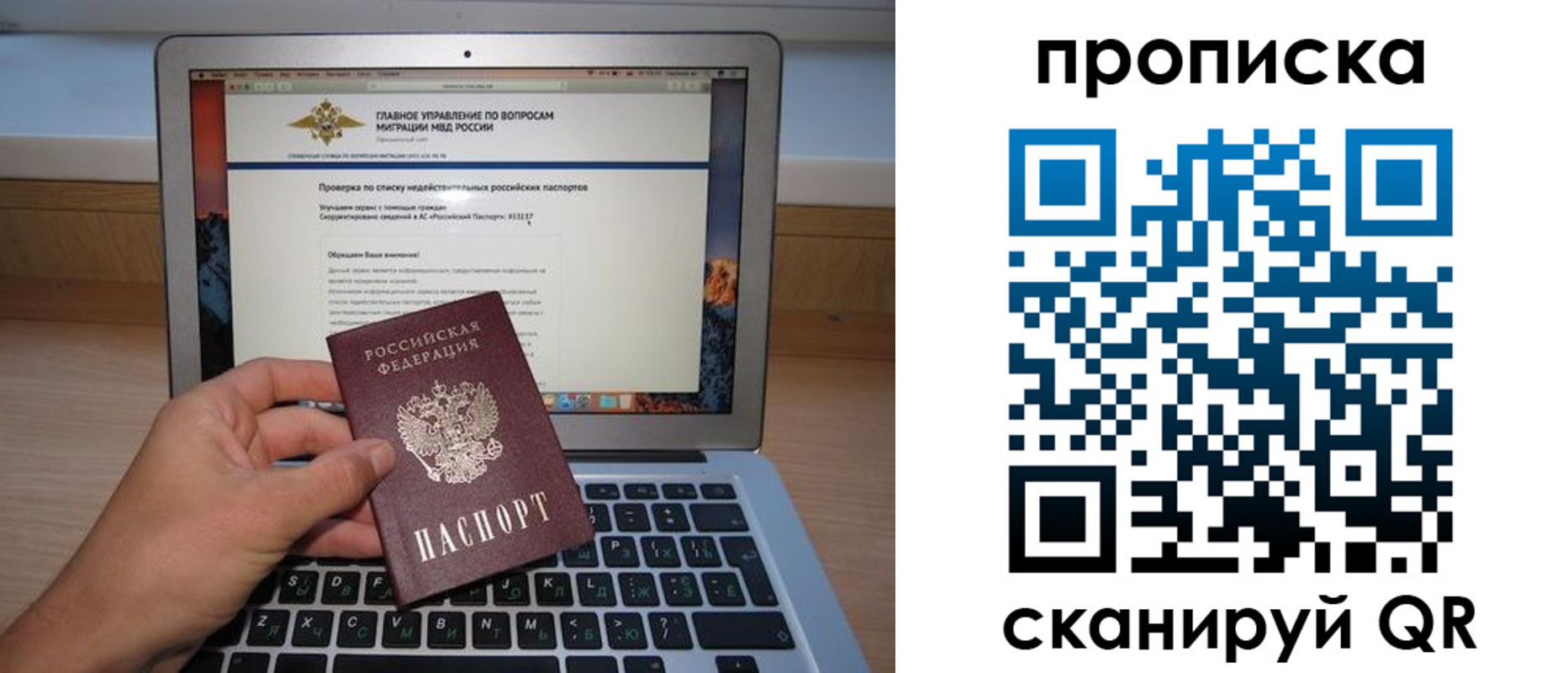 прописка поиск в Луге